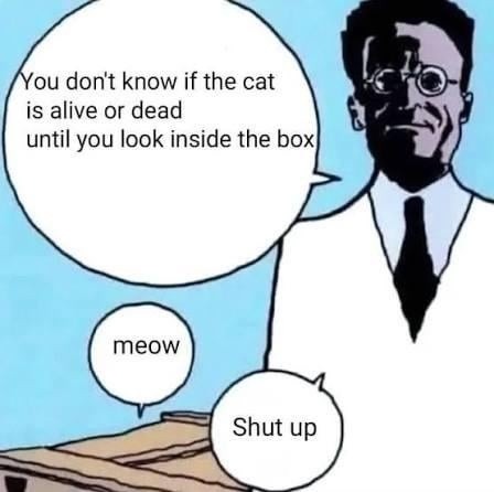 You don't know if the cat is alive or dead until you look inside the box meow Shut up