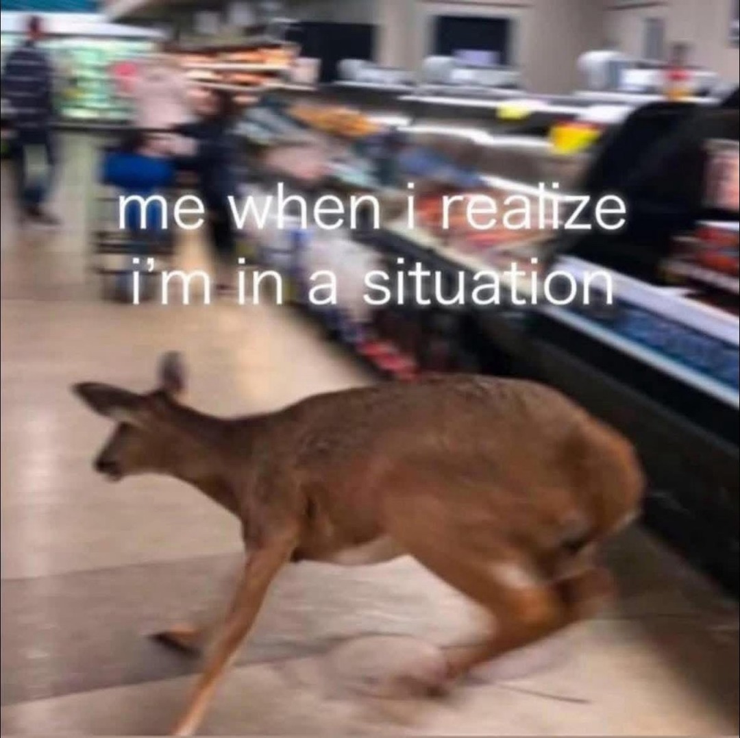 me when i realize i'm in a situation