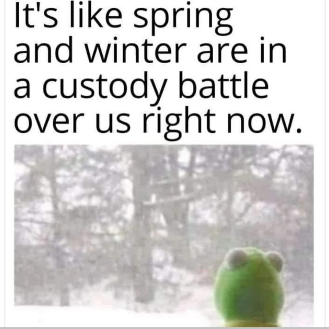 It's like spring and winter are in a custody battle over us right now.