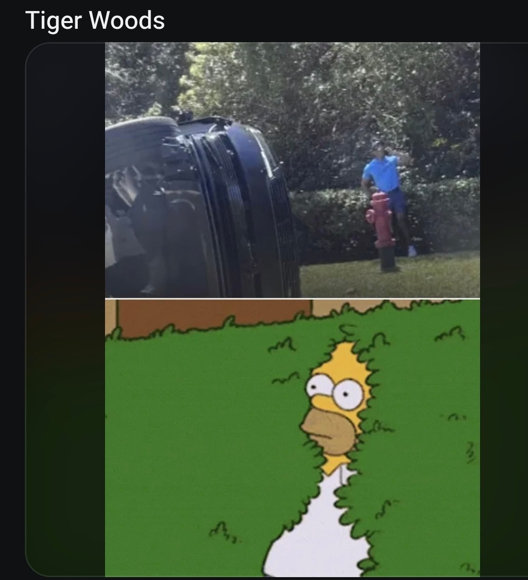 Tiger Woods. An overturned car and a man standing near a fire hydrant. Homer Simpson disappearing into a bush.