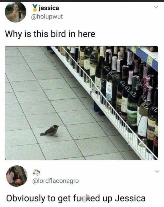 jessica @holupwut Why is this bird in here lordflaconegro Obviously to get fucked up Jessica