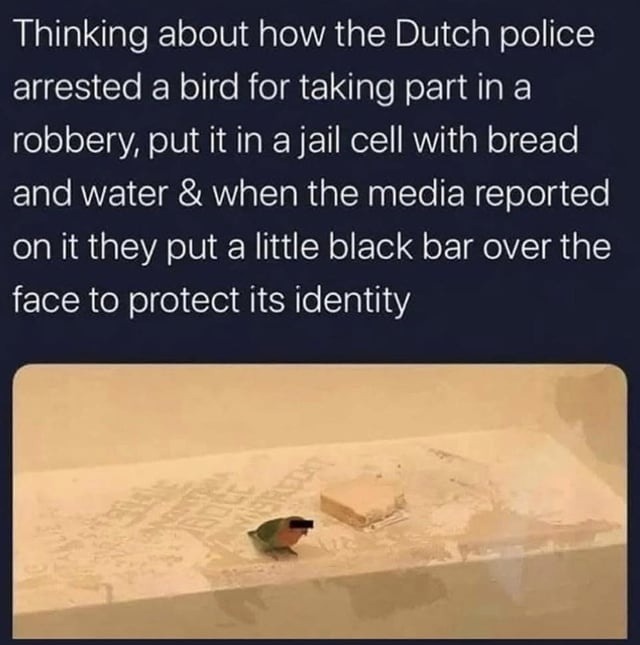 Thinking about how the Dutch police arrested a bird for taking part in a robbery, put it in a jail cell with bread and water & when the media reported on it they put a little black bar over the face to protect its identity
