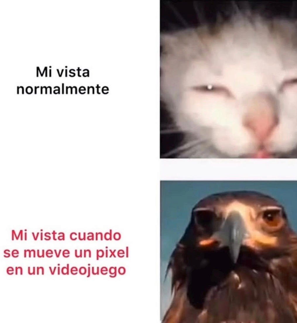 Mi vista normalmente. Mi vista cuando se mueve un pixel en un videojuego.