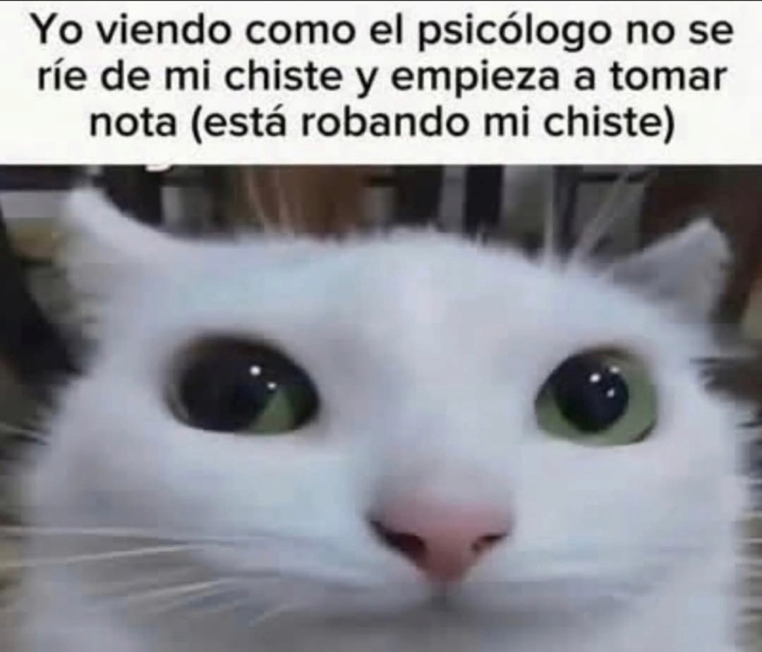 Yo viendo como el psicólogo no se ríe de mi chiste y empieza a tomar nota (está robando mi chiste)