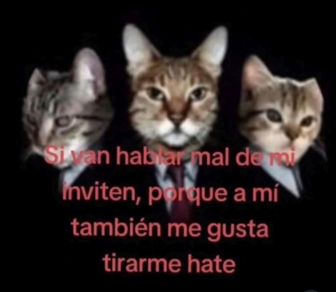 Si van a hablar mal de mi inviten, porque a mí también me gusta tirarme hate