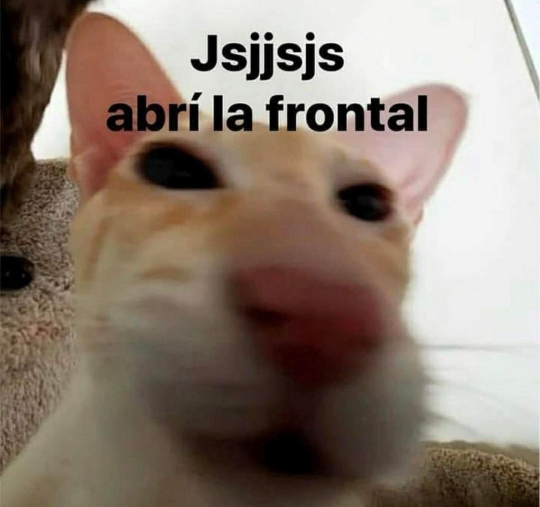 Jsjjsjs abrí la frontal