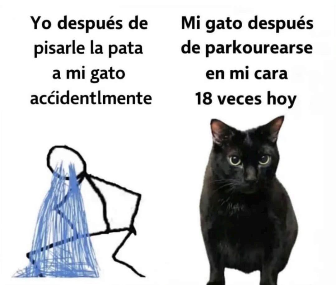 Yo después de pisarle la pata a mi gato accidentlmente. Mi gato después de parkourearse en mi cara 18 veces hoy.