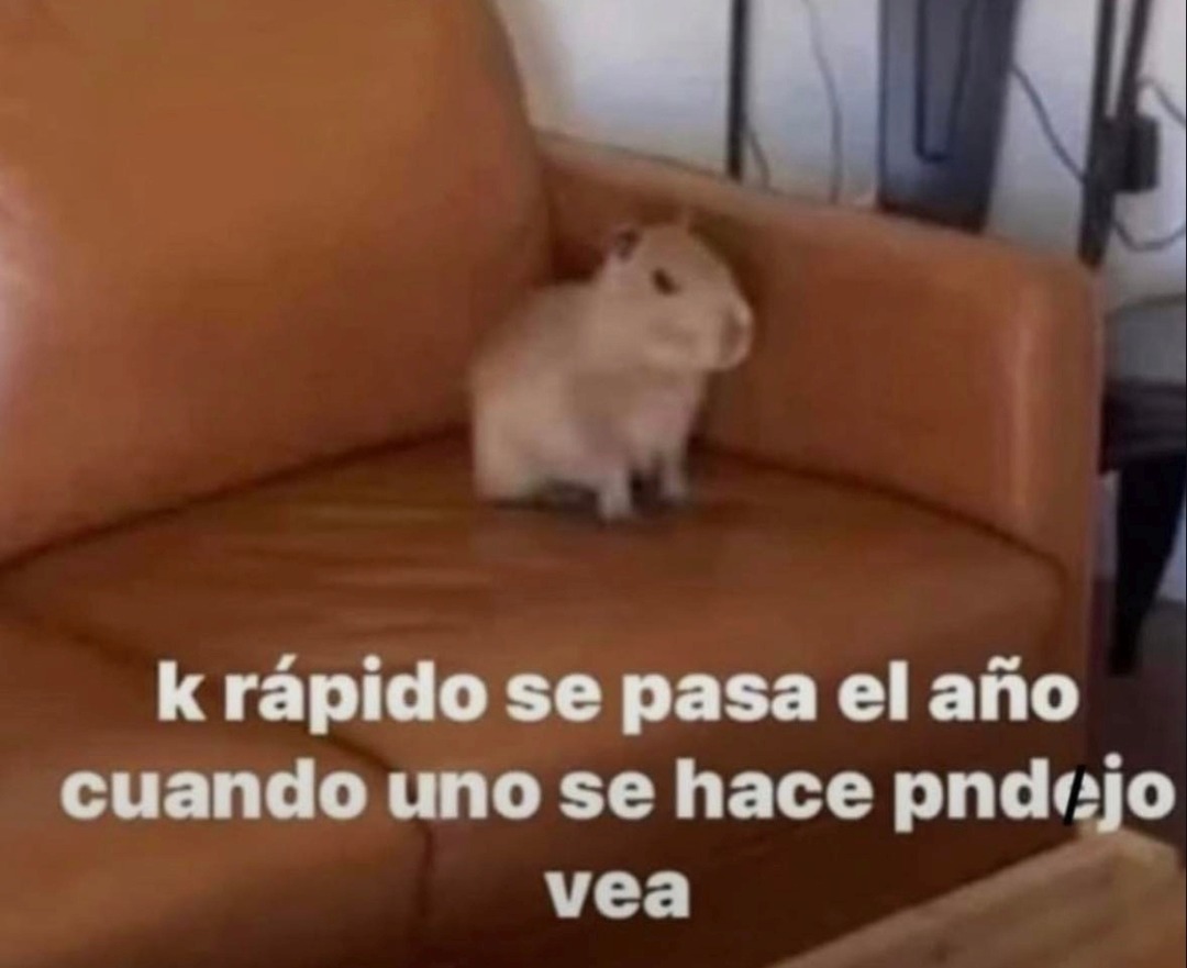 k rápido se pasa el año cuando uno se hace pendejo vea