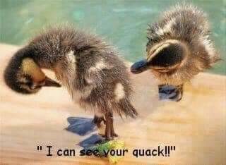 I can see your quack!!