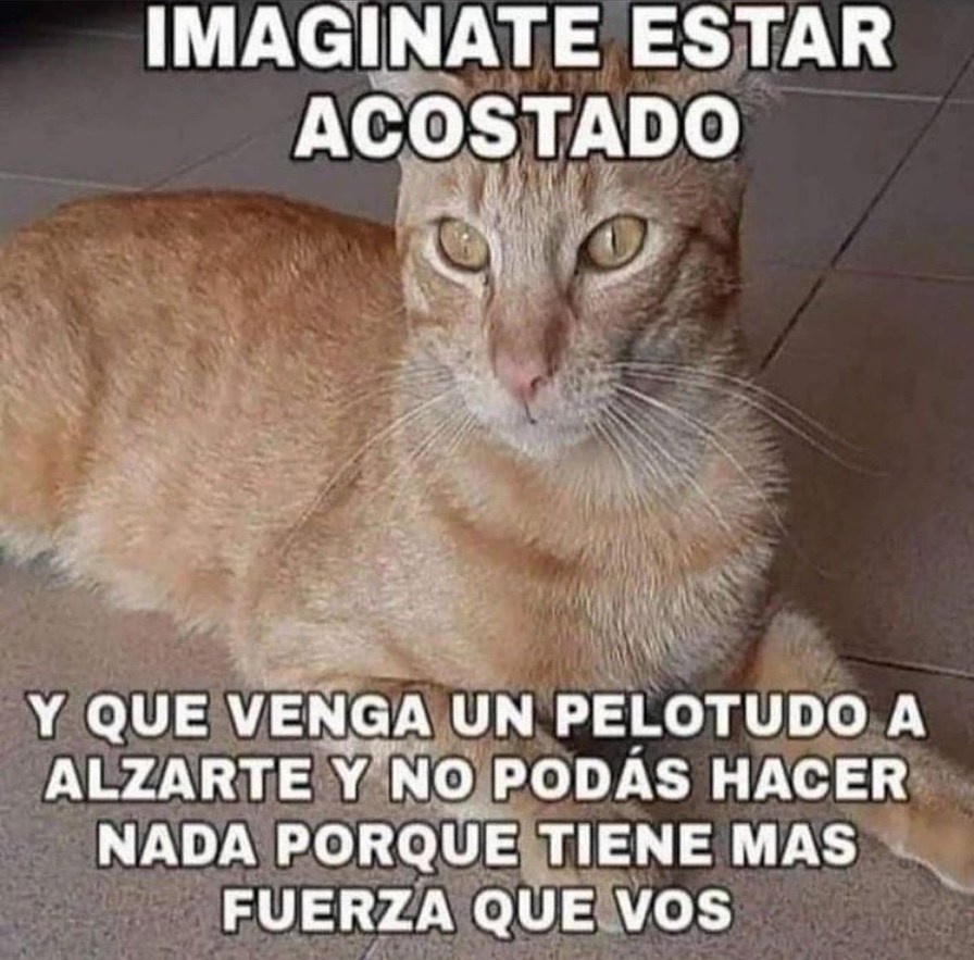IMAGINATE ESTAR ACOSTADO Y QUE VENGA UN PELOTUDO A ALZARTE Y NO PODÁS HACER NADA PORQUE TIENE MAS FUERZA QUE VOS