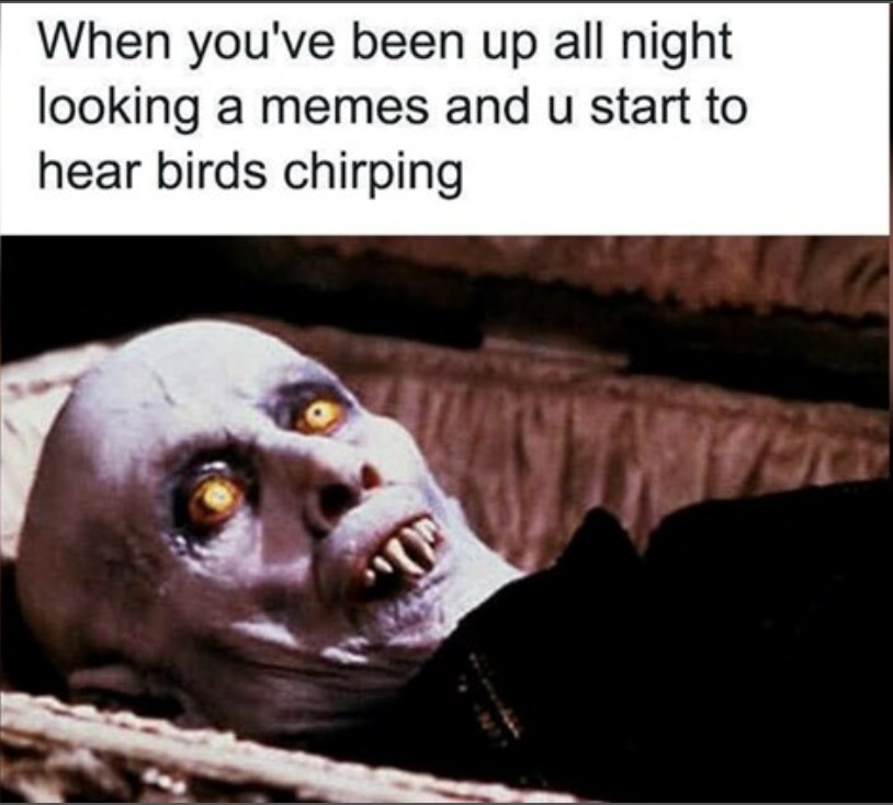 When you've been up all night looking a memes and u start to hear birds chirping