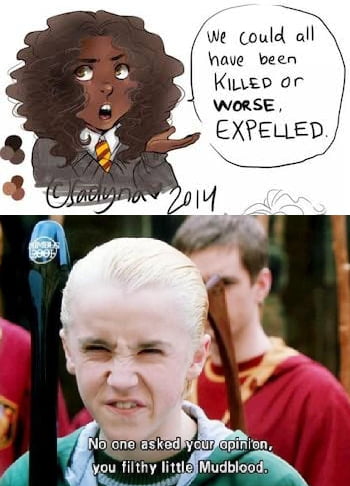 We could all have been KILLED or WORSE, EXPELLED. No one asked your opinion, you filthy little Mudblood.