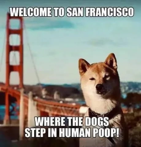 WELCOME TO SAN FRANCISCO WHERE THE DOGS STEP IN HUMAN POOP!
