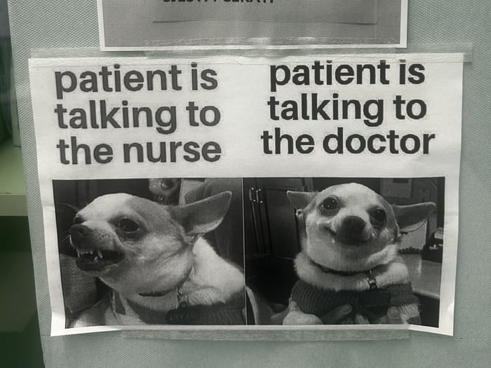 patient is talking to the nurse patient is talking to the doctor