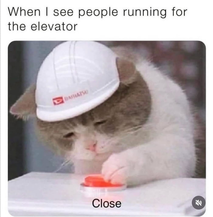 When I see people running for the elevator Close