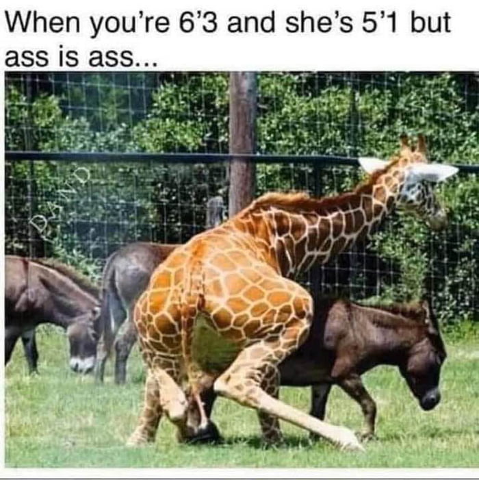When you're 6'3 and she's 5'1 but ass is ass...