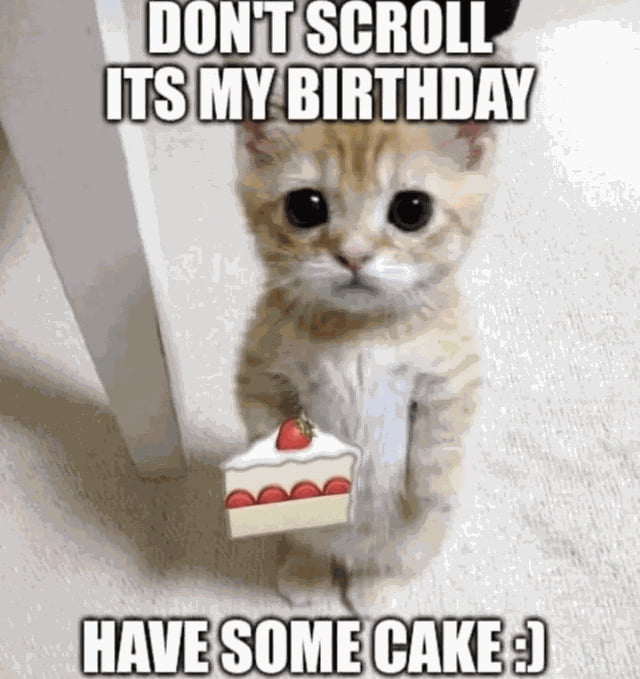 DON'T SCROLL ITS MY BIRTHDAY HAVE SOME CAKE :)