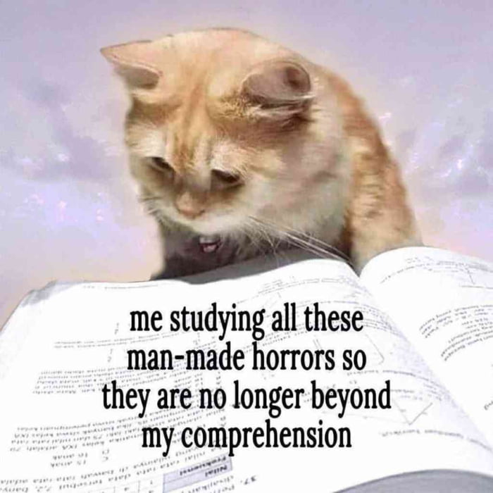 me studying all these man-made horrors so they are no longer beyond my comprehension