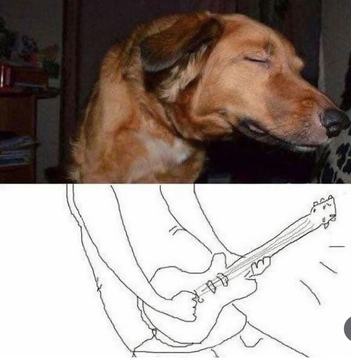 A dog with its eyes closed, looking like it's singing or enjoying music, paired with a line drawing of someone playing an electric guitar.