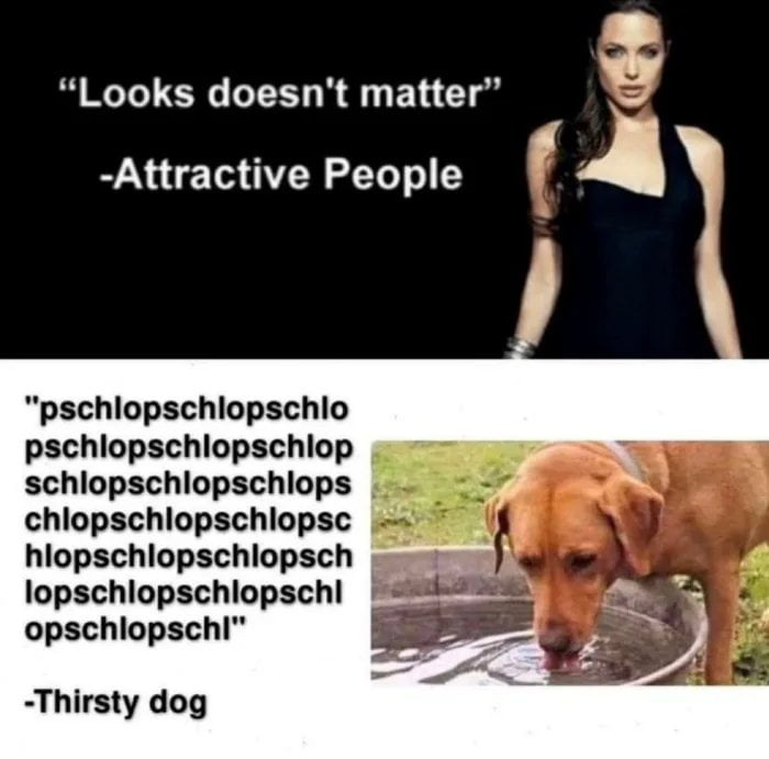 Looks doesn't matter -Attractive People pschlop...pschlop... -Thirsty dog