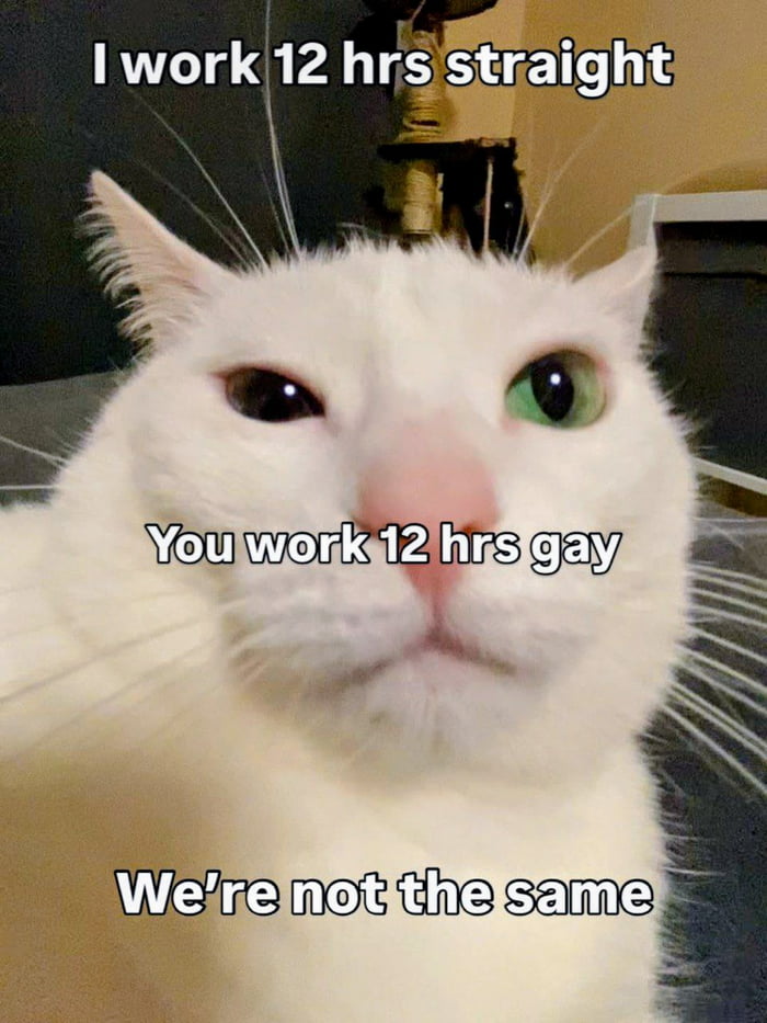 I work 12 hrs straight You work 12 hrs gay We're not the same