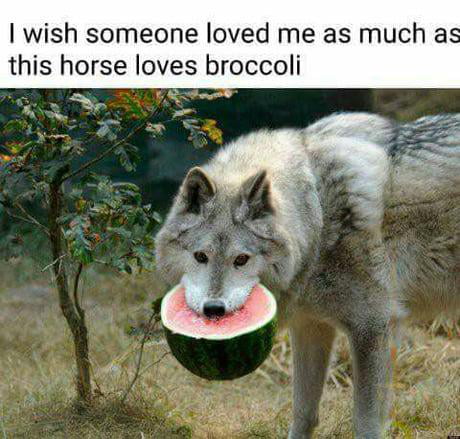 I wish someone loved me as much as this horse loves broccoli