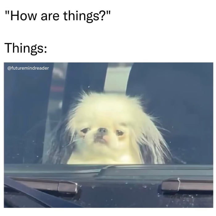 How are things? Things: @futuremindreader