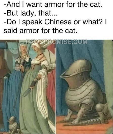 -And I want armor for the cat.
-But lady, that...
-Do I speak Chinese or what? I said armor for the cat.