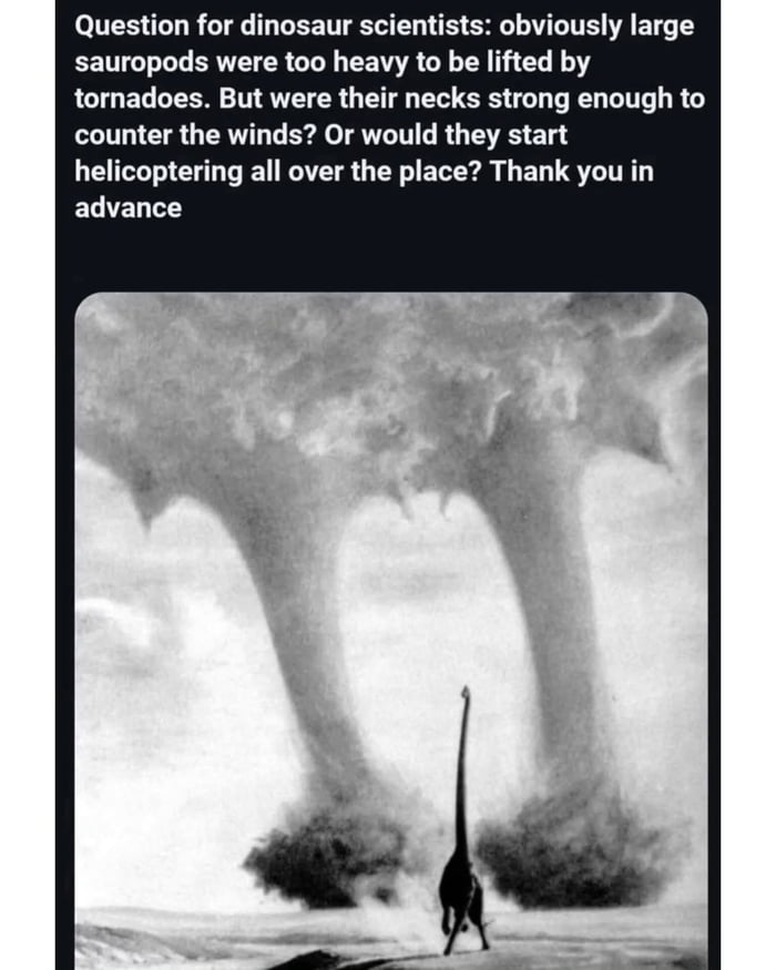 Question for dinosaur scientists: obviously large sauropods were too heavy to be lifted by tornadoes. But were their necks strong enough to counter the winds? Or would they start helicoptering all over the place? Thank you in advance