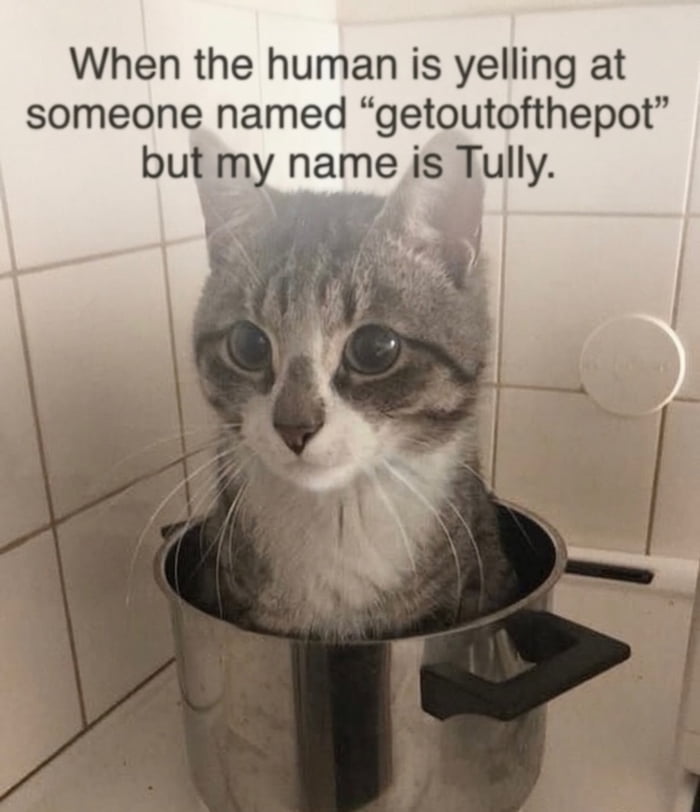 When the human is yelling at someone named 