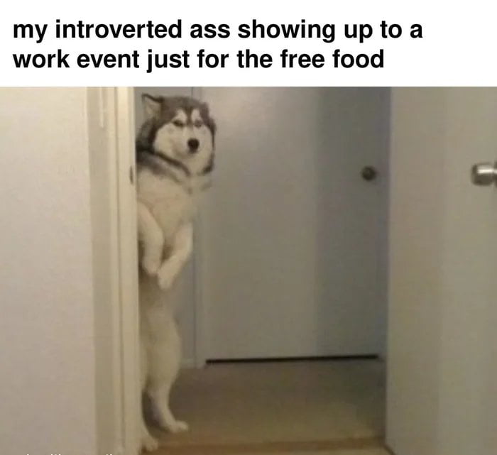 my introverted ass showing up to a work event just for the free food