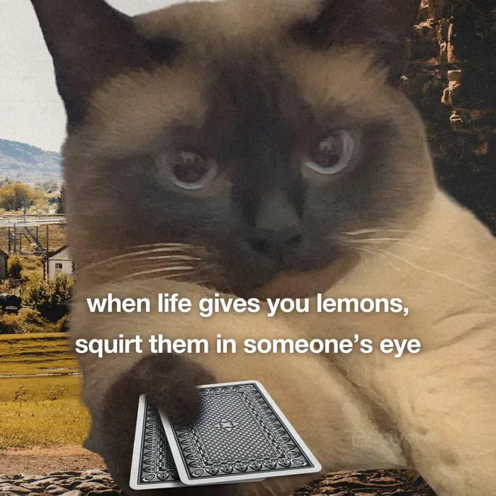 when life gives you lemons, squirt them in someone's eye