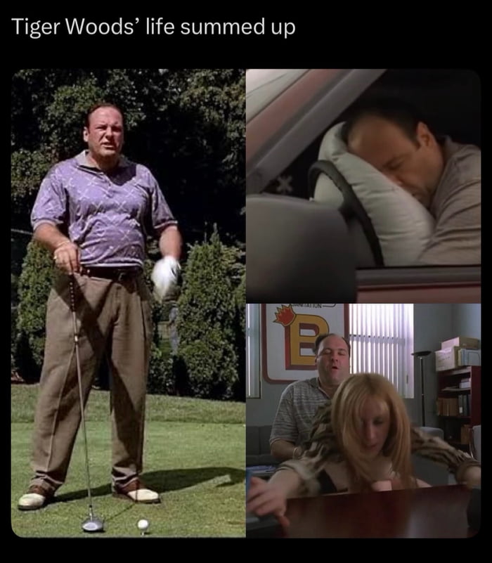 Tiger Woods' life summed up. The image shows three panels featuring Tony Soprano from The Sopranos. The left panel shows him playing golf. The top right panel shows him sleeping in a car with his head on an deployed airbag. The bottom right panel shows him in a suggestive position with a woman over a desk.