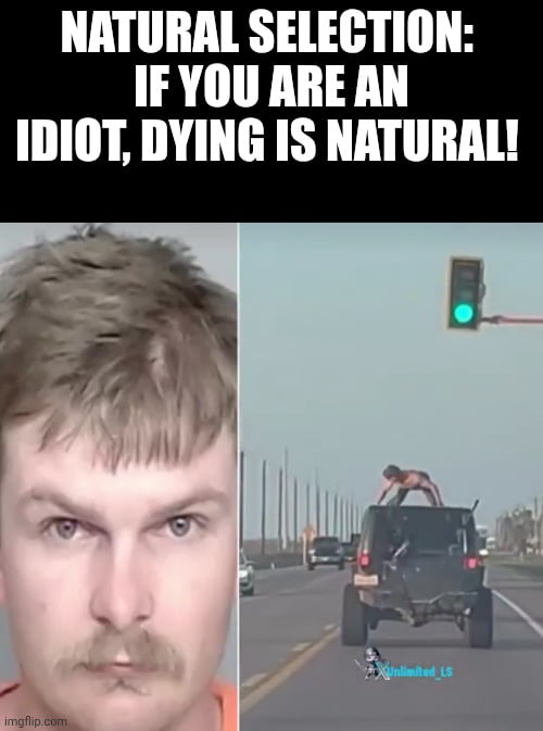 NATURAL SELECTION: IF YOU ARE AN IDIOT, DYING IS NATURAL! The image shows a split screen. On the left, there is a mugshot of a man with a mustache. On the right, a person is seen standing or crouching on the roof of a moving SUV on a highway, with a green traffic light visible in the distance.