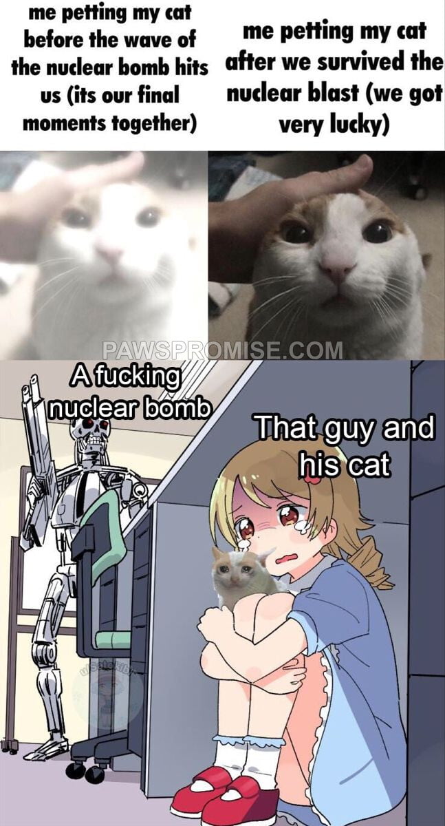 me petting my cat before the wave of the nuclear bomb hits us (its our final moments together) me petting my cat after we survived the nuclear blast (we got very lucky) A fucking nuclear bomb That guy and his cat PAWSPROMISE.COM