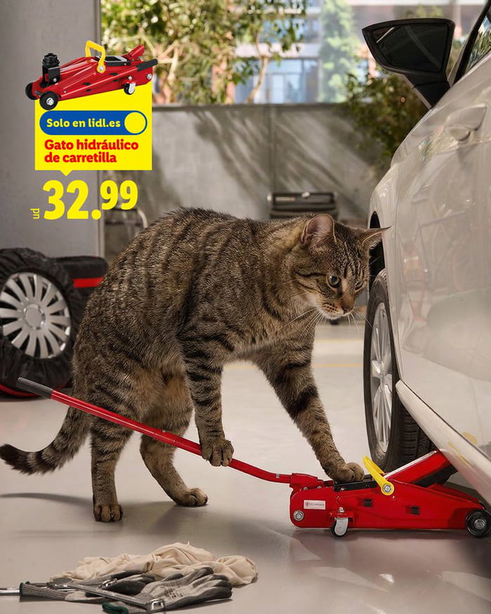 Solo en lidl.es Gato hidráulico de carretilla 32.99. A tabby cat is seen next to a white car, with its paw on a red hydraulic car jack. Tools like gloves and a wrench are on the floor. In the background, there's a spare tire and a garage-like setting.