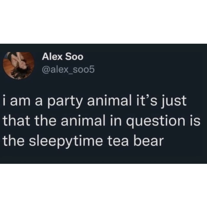 i am a party animal it's just that the animal in question is the sleepytime tea bear