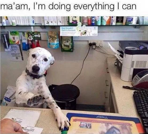 ma'am, I'm doing everything I can. Bad Breath? Get it checked.