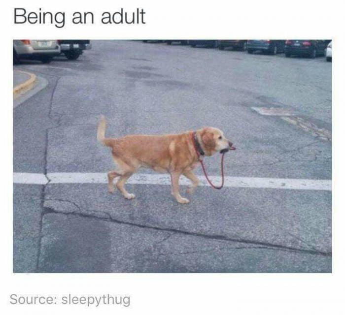 Being an adult