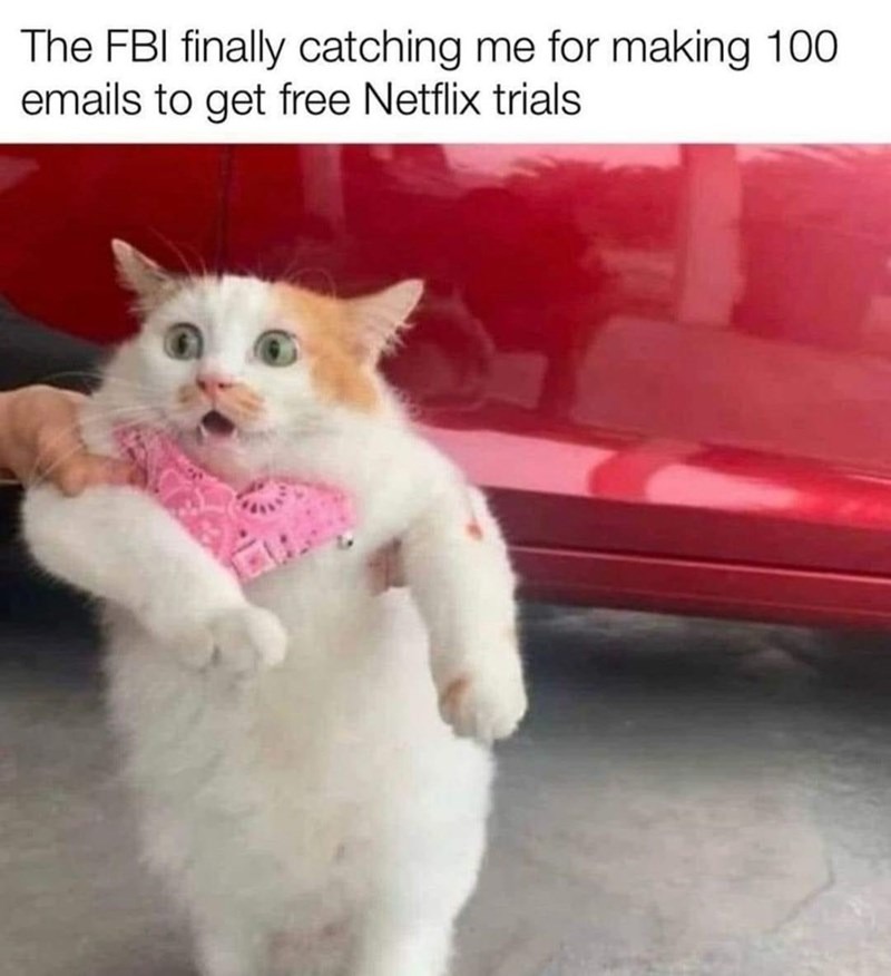 The FBI finally catching me for making 100 emails to get free Netflix trials