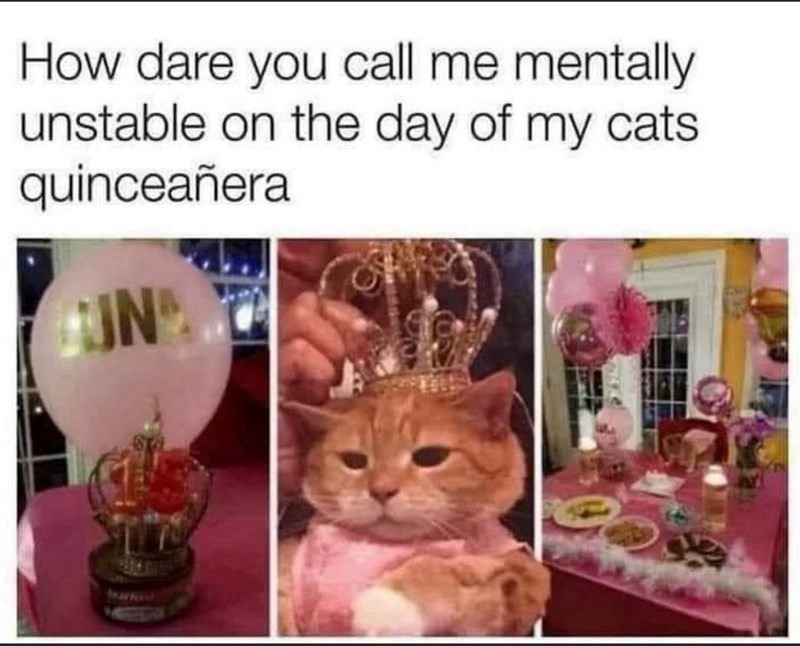 How dare you call me mentally unstable on the day of my cats quinceañera