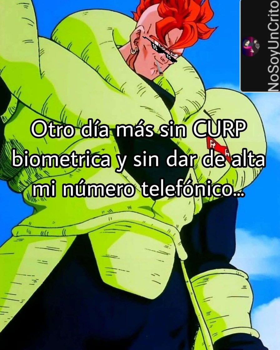 Otro día más sin CURP biométrica y sin dar de alta mi número telefónico...