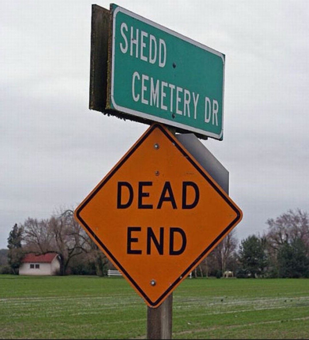SHEDD CEMETERY DR DEAD END