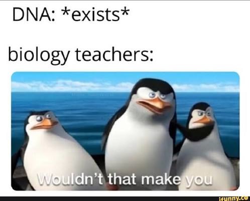 DNA: *exists* biology teachers: Wouldn't that make you