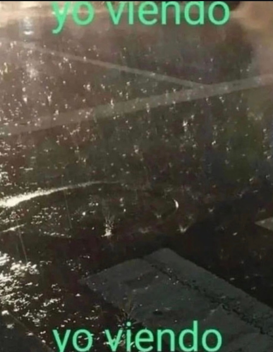 yo viendo