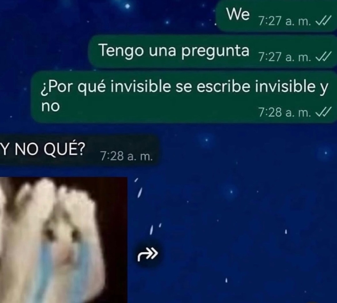 We Tengo una pregunta ¿Por qué invisible se escribe invisible y no Y NO QUÉ?