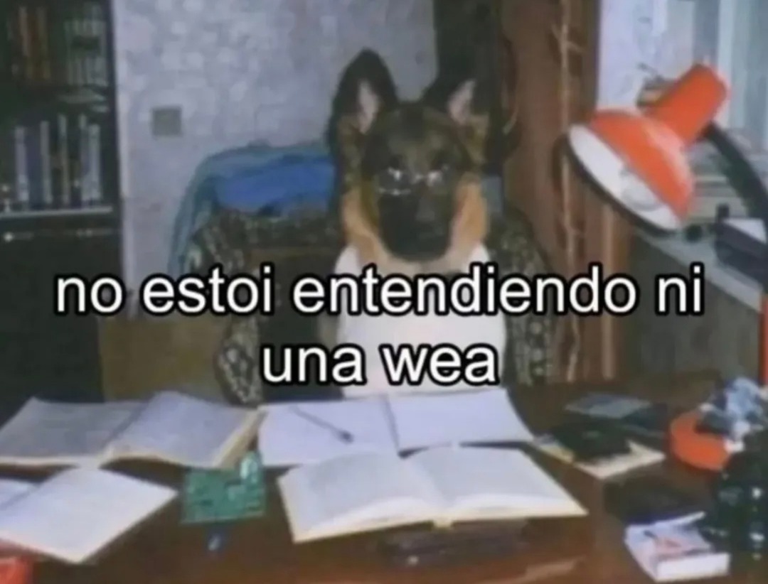 no estoi entendiendo ni una wea