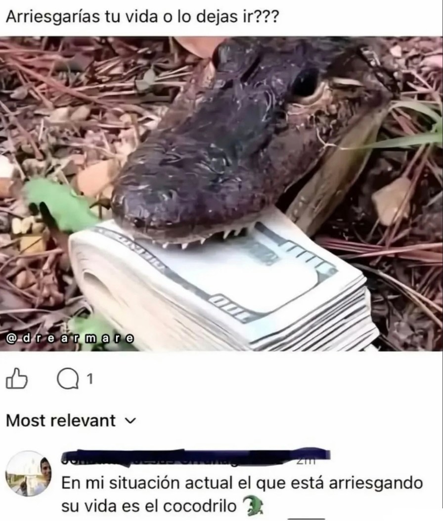 Arriesgarías tu vida o lo dejas ir??? En mi situación actual el que está arriesgando su vida es el cocodrilo 🐊