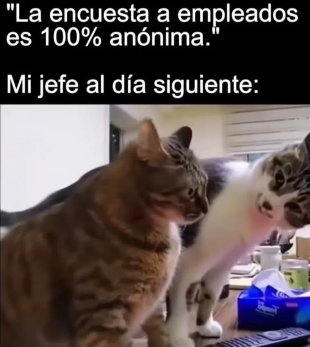 La encuesta a empleados es 100% anónima. Mi jefe al día siguiente:
