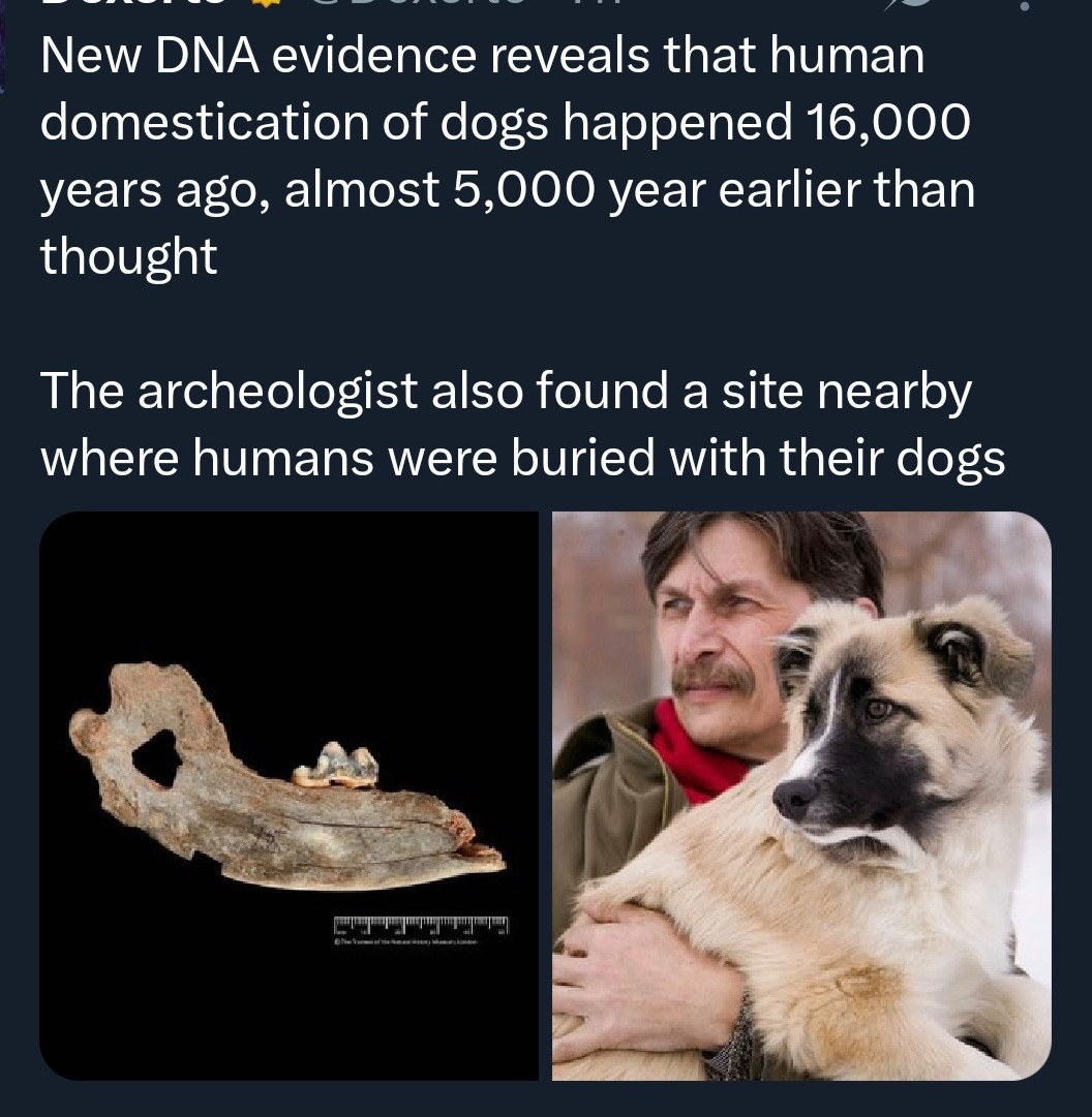 New DNA evidence reveals that human domestication of dogs happened 16,000 years ago, almost 5,000 years earlier than thought. The archeologist also found a site nearby where humans were buried with their dogs.